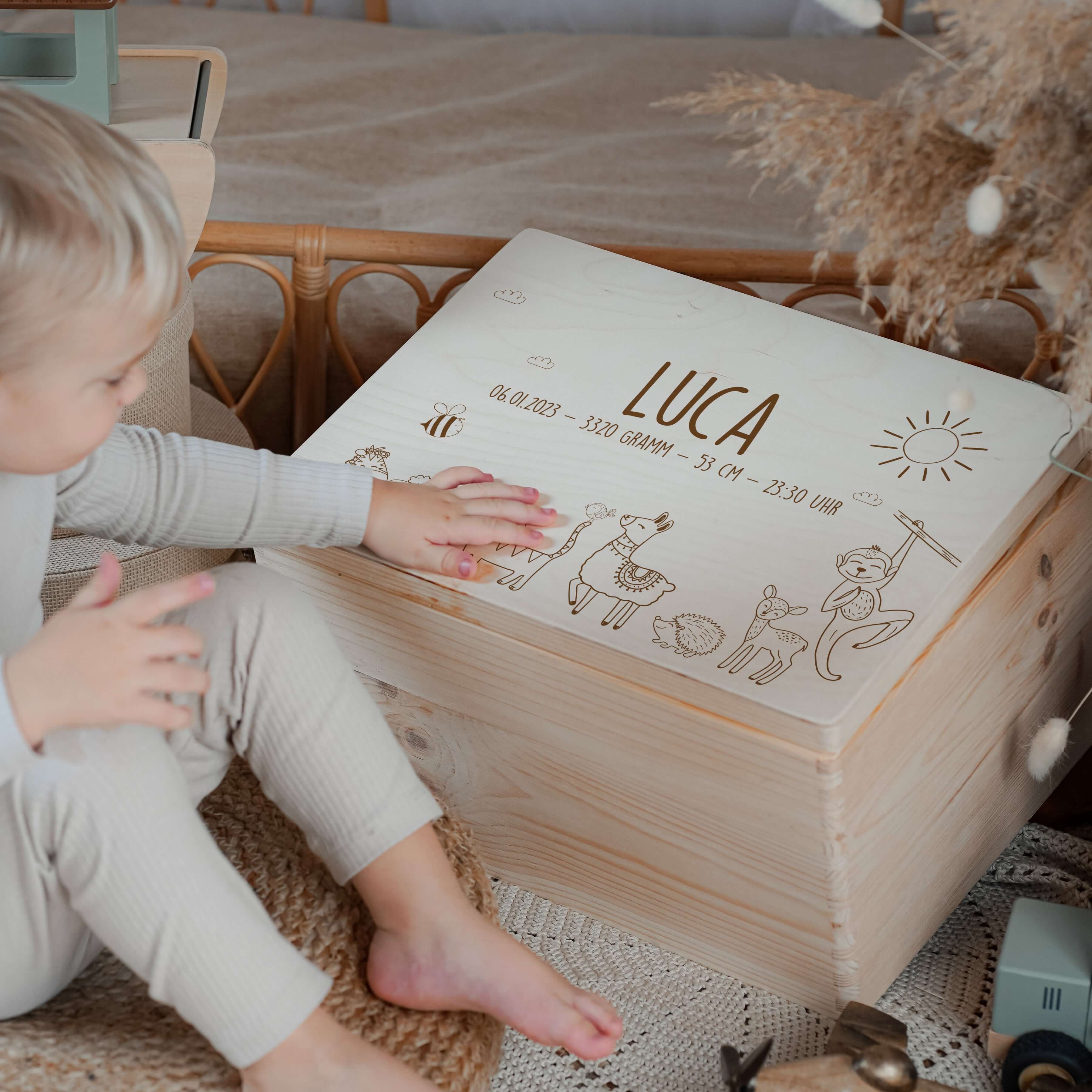 Erinnerungsbox Baby - Safari Tierfamilie