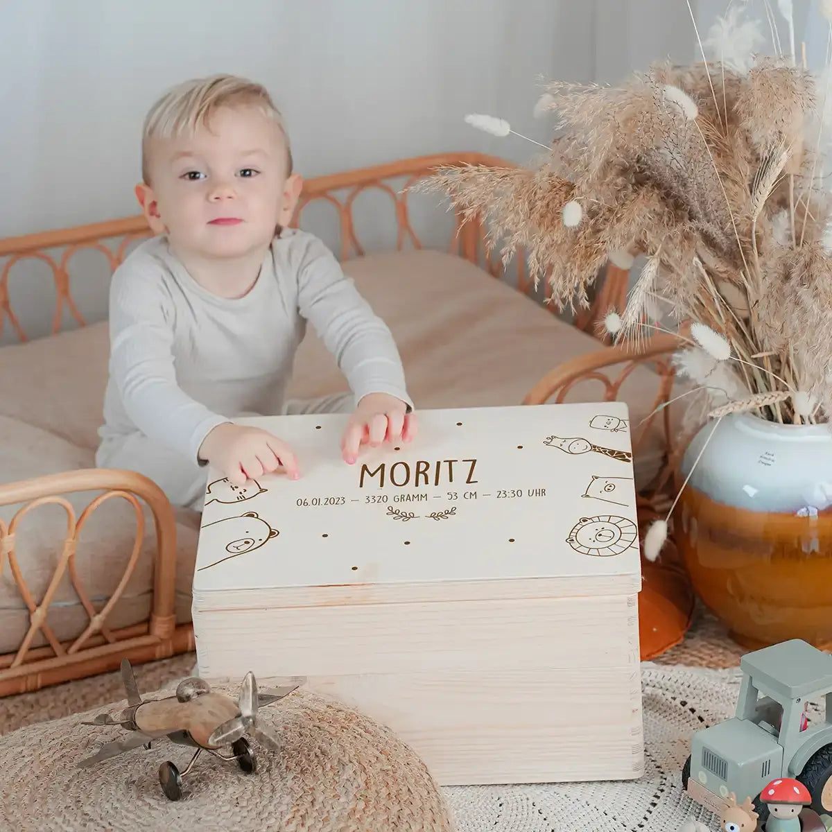 Erinnerungsbox Baby - fröhliche Tierfamilie