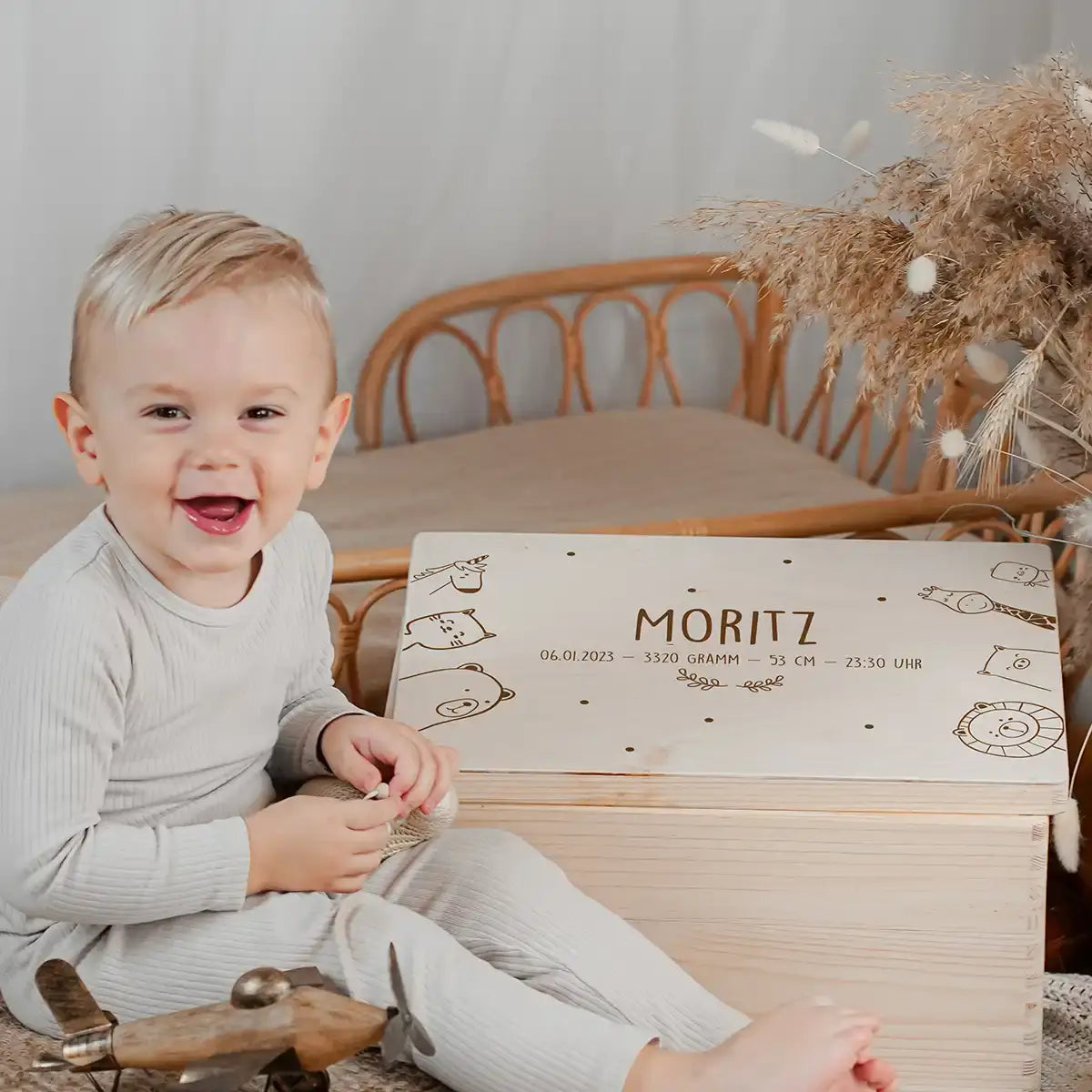 Erinnerungsbox Baby -  fröhliche Tierfamilie